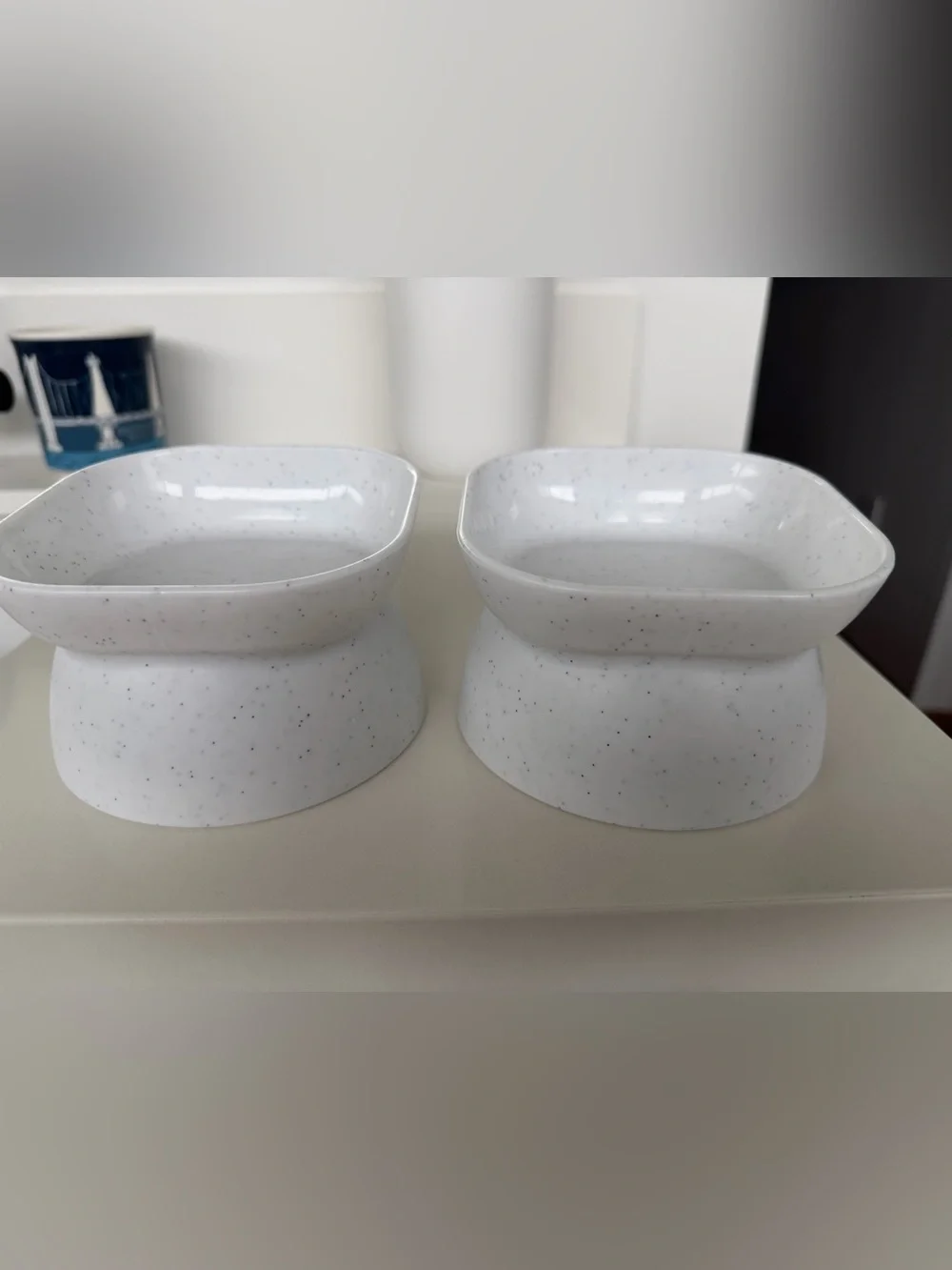 Cat Food and Water Bowls Tilted Elevated Raised Plastic Feeding Dishes Set of 4